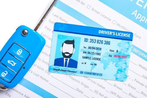 licence application